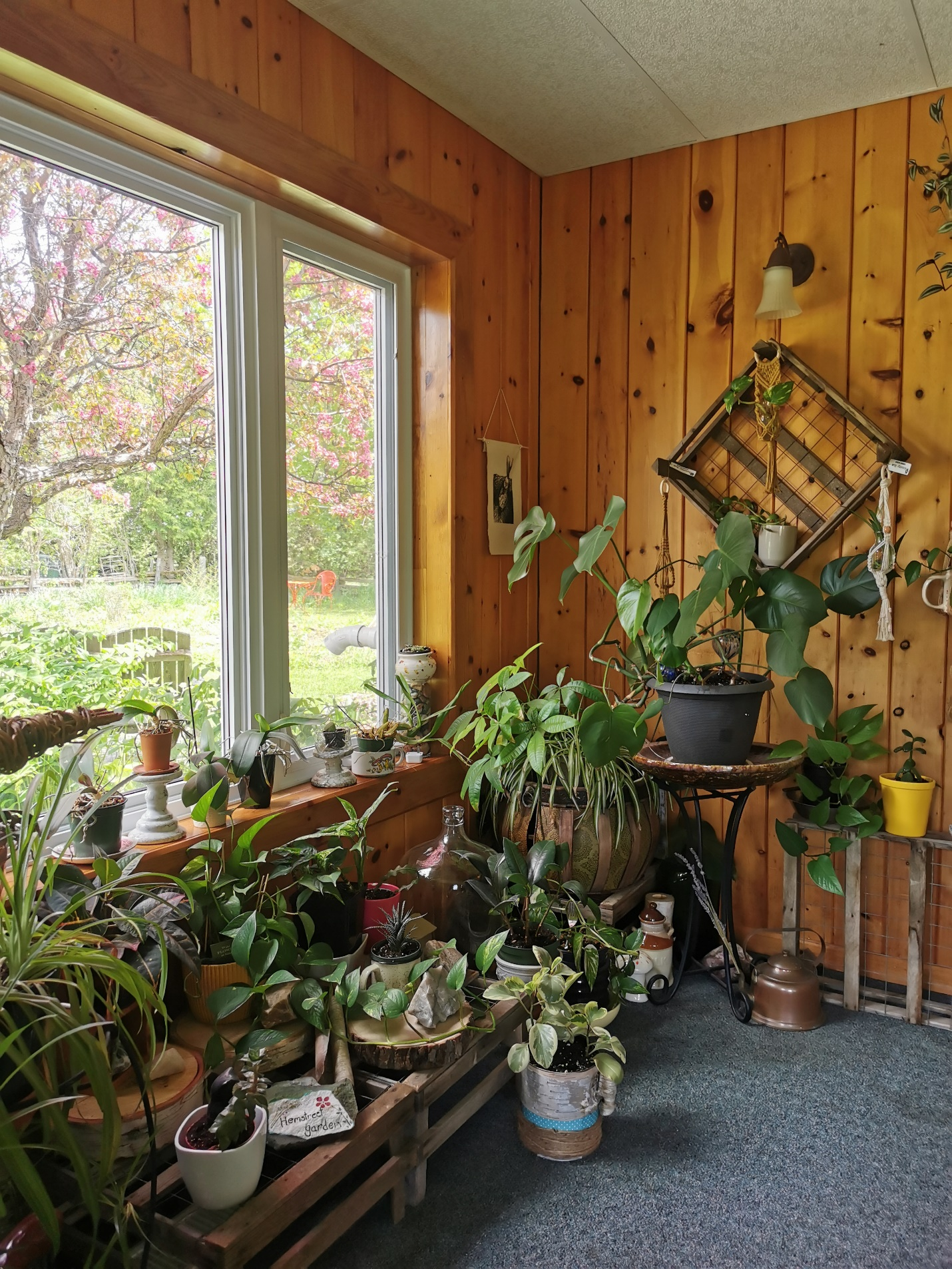 图片17.png 图片17.png