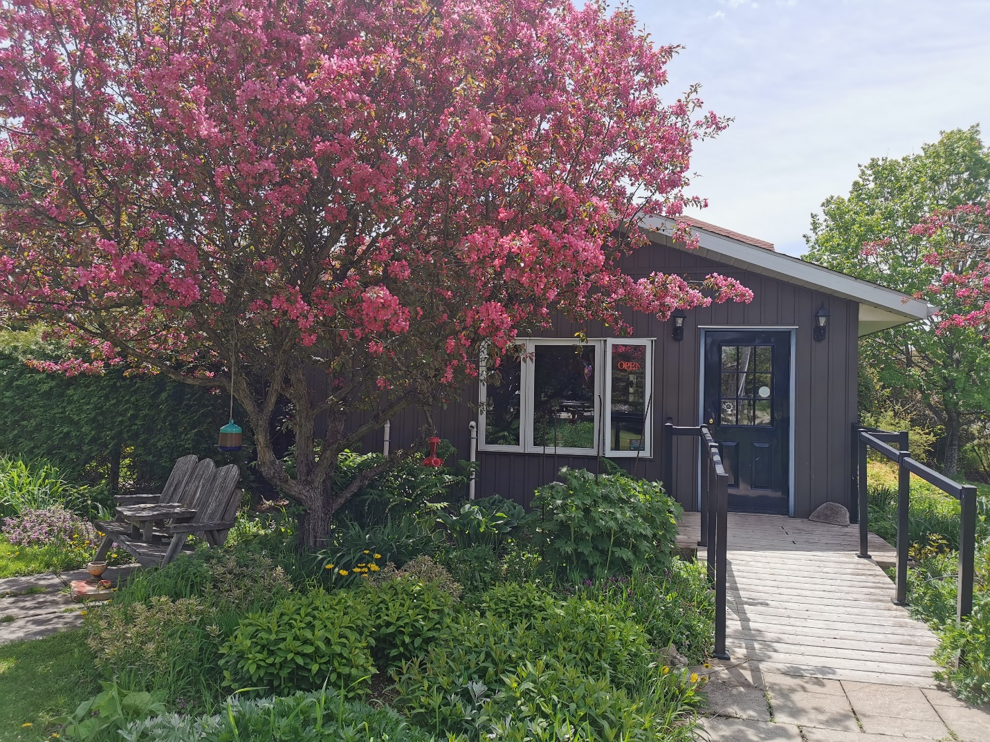 图片20.png 图片20.png